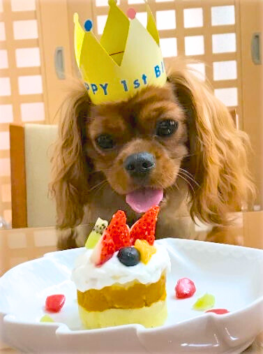 りーたんお誕生日